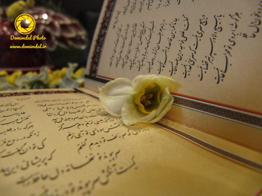 Photo_1579029548141-1536x1152